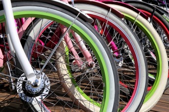 Karpacz Atrakcja Wypożyczalnia rowerów Sandra SPA