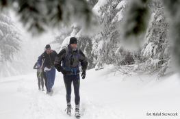 Karpacz Wydarzenie Bieg Zimowy Ultramaraton Karkonoski