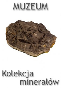 Kolekcja Minerałów Ziemi Olkuskiej oraz Skamieniałości Jury Krakowsko- Częstochowskiej
